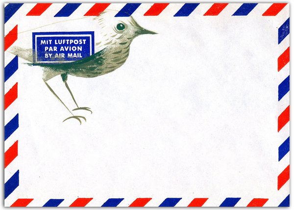 Postkarte_Briefvogel
